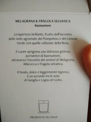 Candela profumata Nasoterapia Melagrana & Fragola