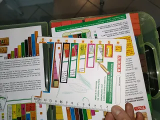 Regoli in legno colorati ARDA