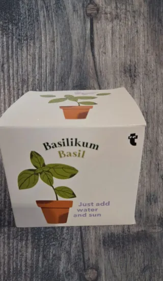 Pianta di Basilico - Kit per Coltivazione