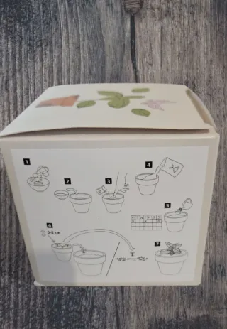 Pianta di Basilico - Kit per Coltivazione