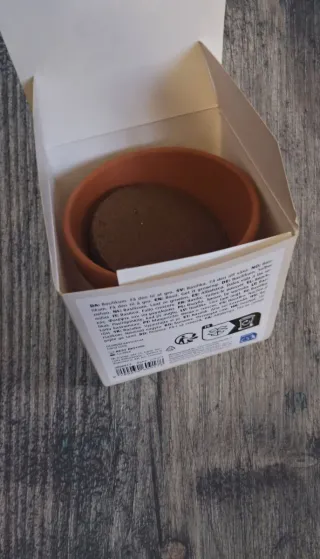 Pianta di Basilico - Kit per Coltivazione