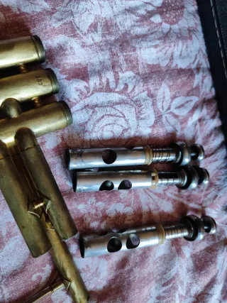 Lote 4 Trombe: 3 King e 1 Parrot