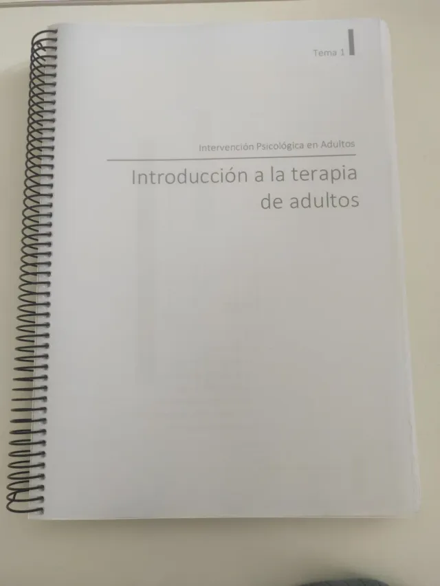 Introducción a la terapia de adultos