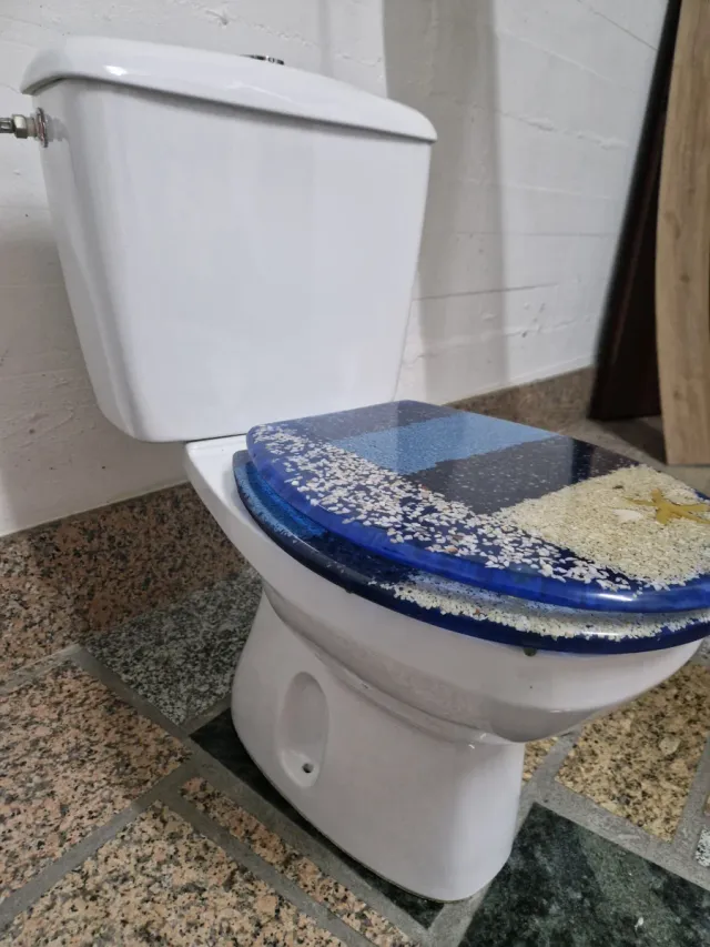 Inodoro marca Gala blanco, tapa en azul