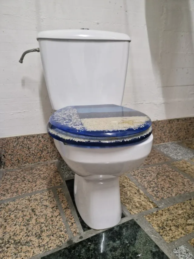 Inodoro marca Gala blanco, tapa en azul