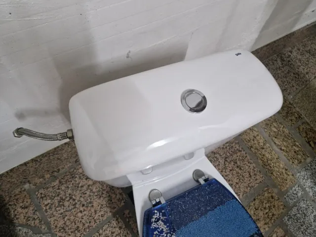 Inodoro marca Gala blanco, tapa en azul