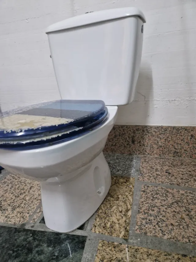 Inodoro marca Gala blanco, tapa en azul