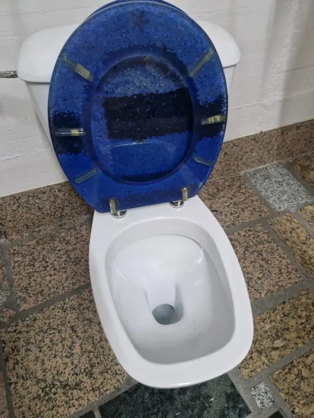 Inodoro marca Gala blanco, tapa en azul