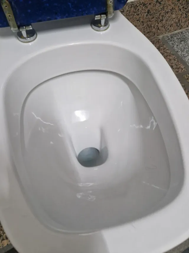 Inodoro marca Gala blanco, tapa en azul