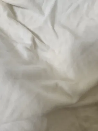 2 Federe Copricuscini 60cm nuovi