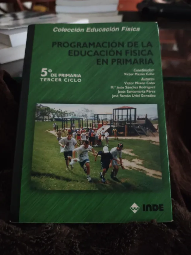 Programación de la Educación Física en Primaria...