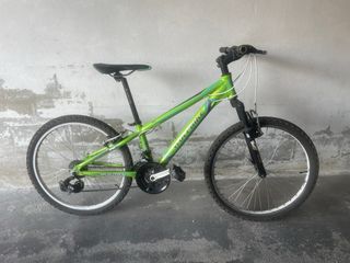 Bicicleta Wolfbike niño