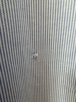 Camisa Scalpers cuello mao rayas azules Talla M