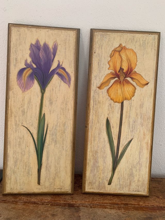 Juego 2 cuadros orquídeas morada y naranja