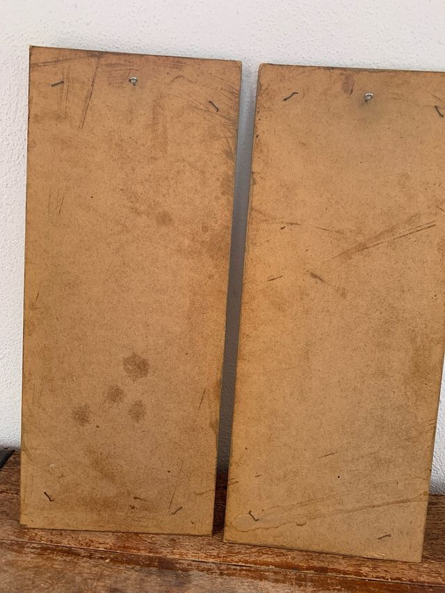 Juego 2 cuadros orquídeas morada y naranja