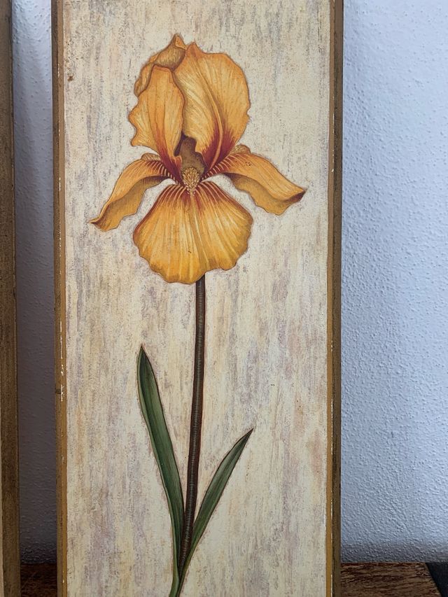 Juego 2 cuadros orquídeas morada y naranja