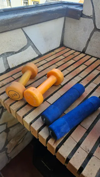 Pesas 2 kg (par)