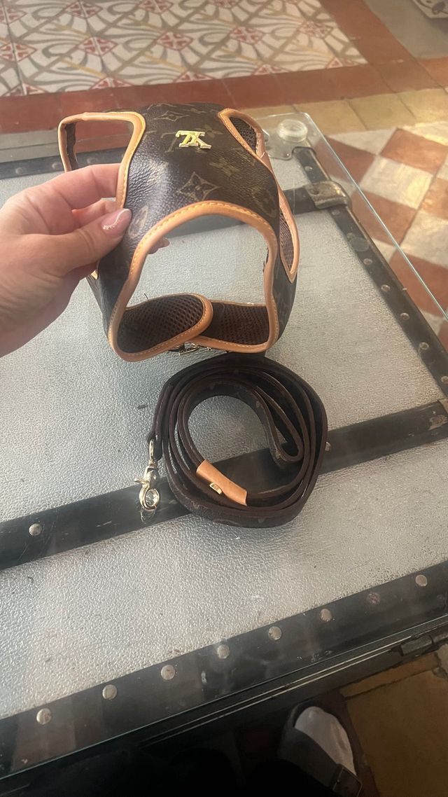 Arnés LV para perro 9-10 kg