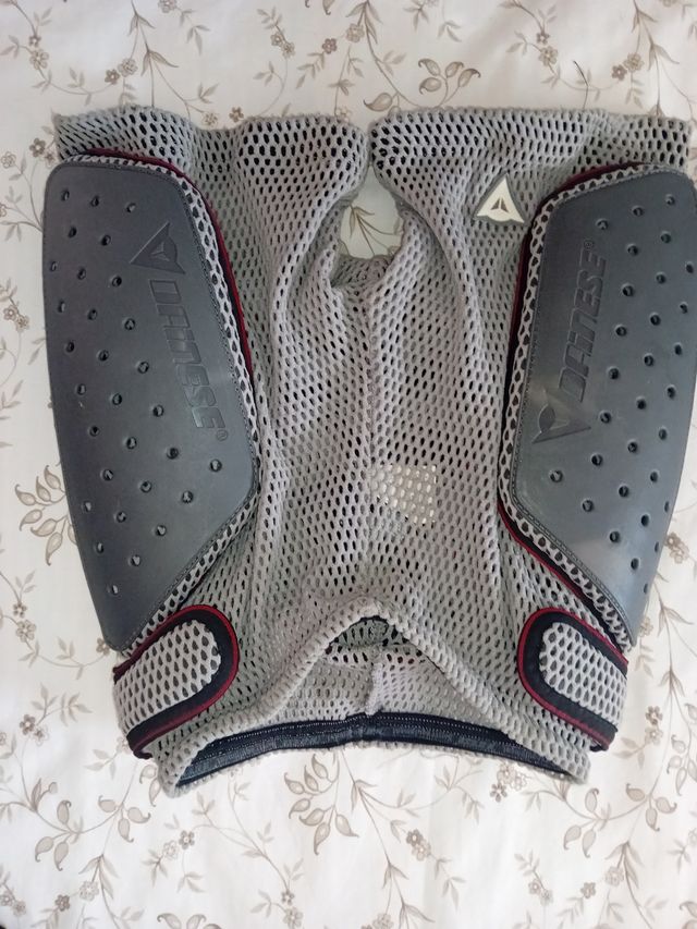 Protección culera Dainese Snow