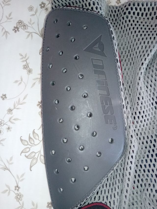 Protección culera Dainese Snow