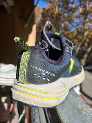 Brooks Cascadia 16 Zapatillas Trail Running