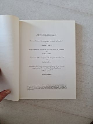 Culturas indigenas de la patagonia