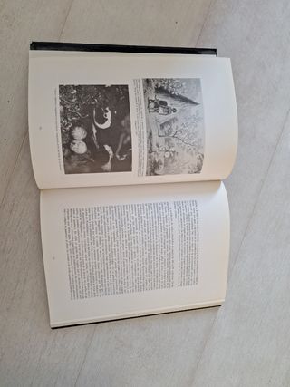 Culturas indigenas de la patagonia