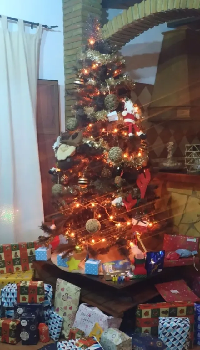 Albero di Natale