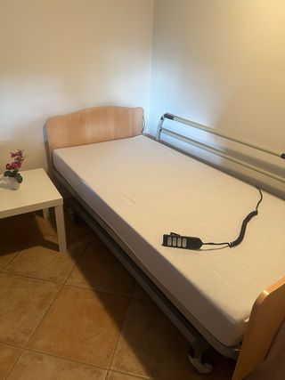 Cama articulada eléctrica. SOLO ENTREGA EN PERSONA