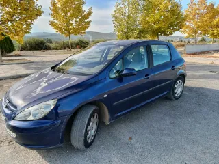 Peugeot 307 2004