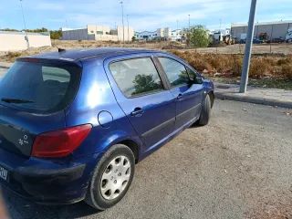 Peugeot 307 2004
