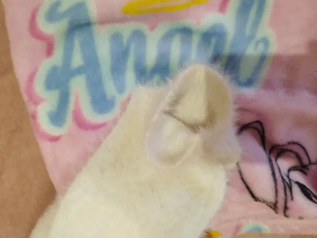 Jersey blanco con estrella de lentejuelas