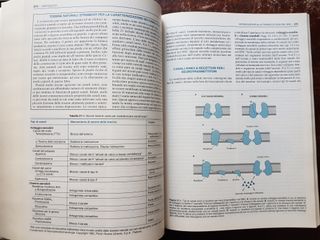 Farmacologia generale e clinica
