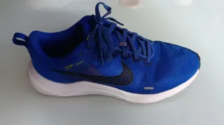 Zapatillas Nike Downshifter 12 Azul