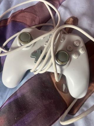 lote de mando  Nintendo Switch Blanco y negro