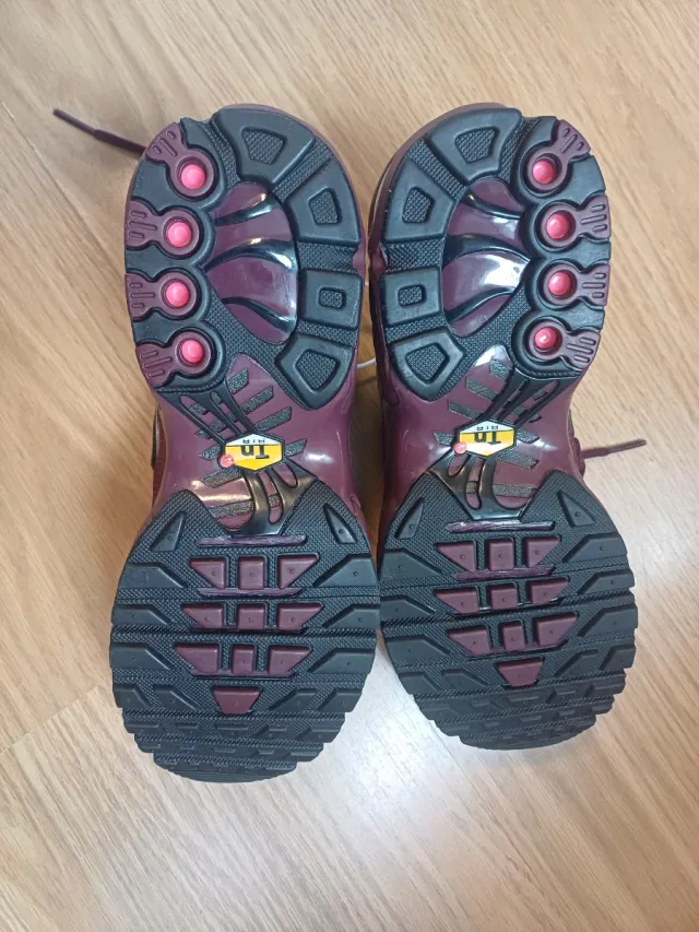 Nike Air Max Plus Morado/Plata