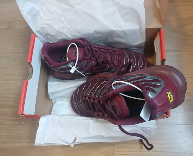 Nike Air Max Plus Morado/Plata