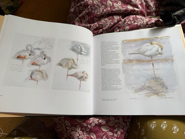 Between sea and land