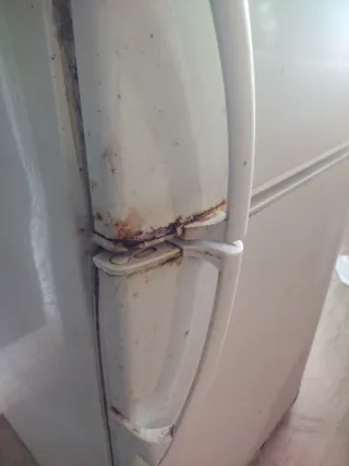 Frigorífico Combi Fagor Blanco