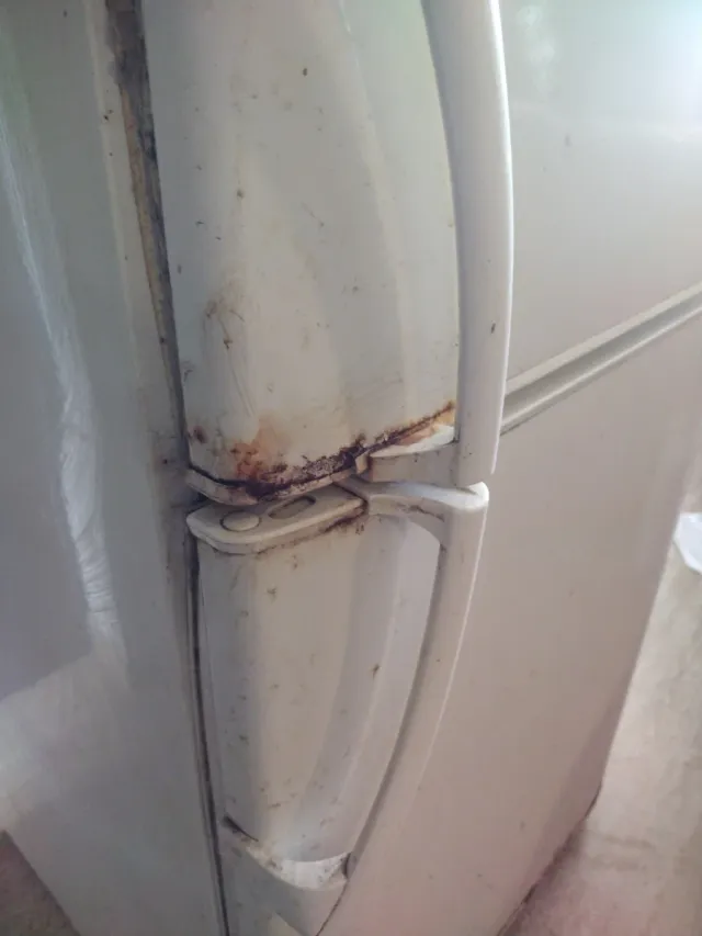 Frigorífico Combi Fagor Blanco