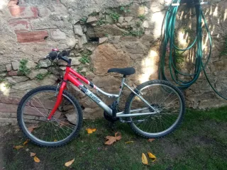 Bicicleta Globe Trotter 24