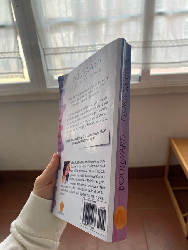 Boulevard (Spanish Edition)