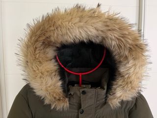 Parka SikSilk verde con Capucha de Pelo