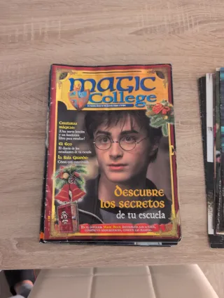 Lote El Diario de los Magos y Brujas + Posters