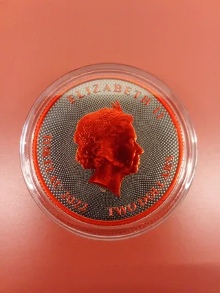 Moneda Plata Hibernia 1 Oz Rutenio Negro