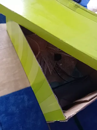 Tocado artesanal ceremonia pluma faisán