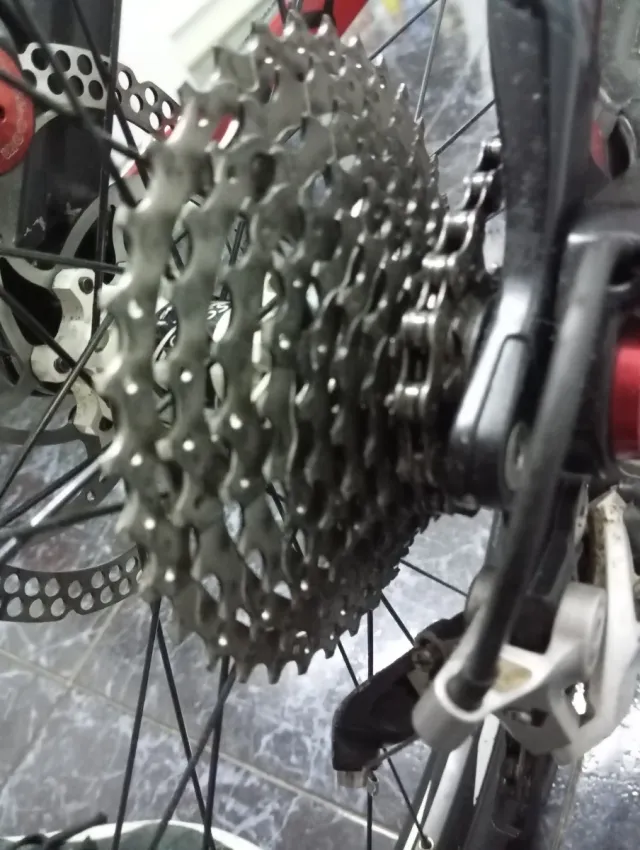 Bicicleta de Montaña LYNX DH Roja