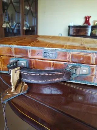 Maletín antiguo piel cocodrilo