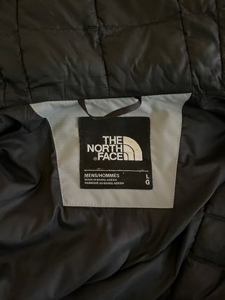 Parka The North Face Gris