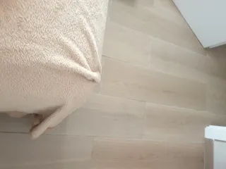 Zapatos de piel Art Talla 41. Muy buen estado.